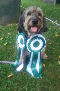 Besuchhund Emma ist die Siegerin 2014 in Obedience Klasse 1