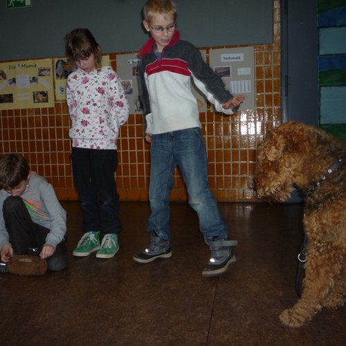 Therapiehund Nasco mit Kindern
