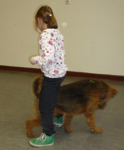 Therapiehund Nasco mit Kindern